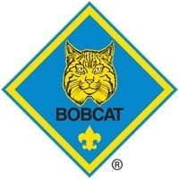 Bobcat