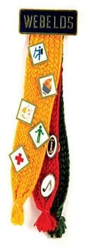 Adventure Pins