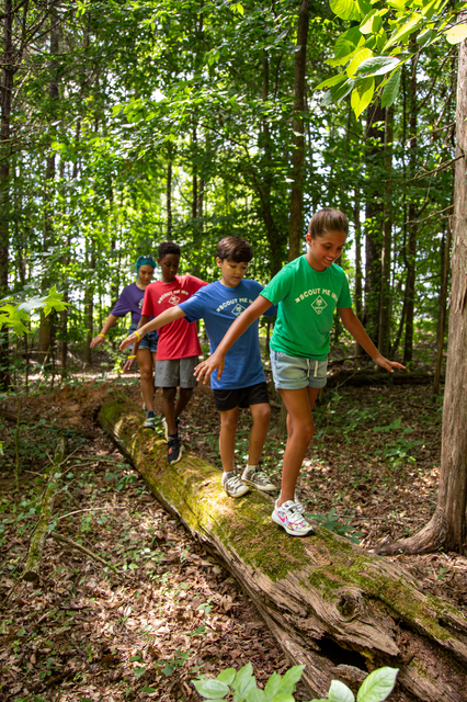 Hiking on a trail in the woods; balancing on a log / fallen tree trunk