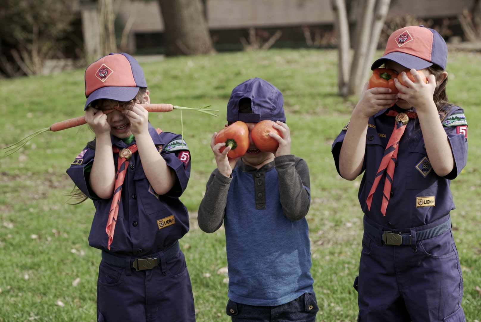 Cub Scout activity